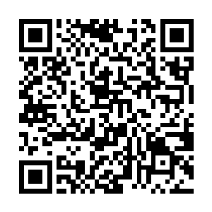 魁天和魔主在这个高塔内已经放弃了彼此之间的恩怨二维码生成