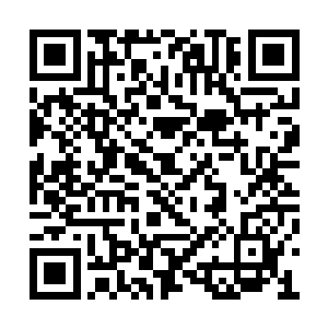 魂帝……怎么会……他不是还有很久才会出关吗二维码生成