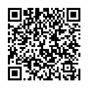 魂梦之虎的整具身躯一如金凤凰一般化作了满天粉碎的血光二维码生成