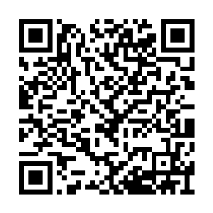 魂海掀起一股风浪……然后……晕倒在沈凡怀中二维码生成