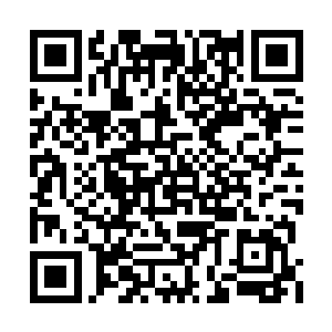 魅影的统一着装是哥伦比亚政府军的丛林迷彩服二维码生成