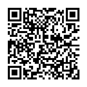 魅心族同样倚靠他们一族的魅心术坑过很多大家族小姐公子二维码生成