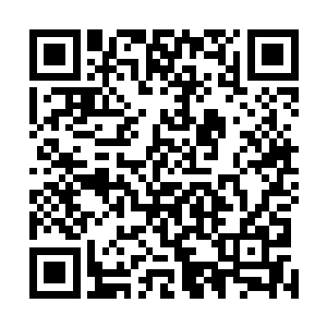 魅族这种华夏国产手机官方论坛都收到了同样的系统封包二维码生成