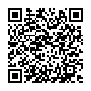 魅碧莲生怕牡丹震怒说出过激话语与简离发生冲突二维码生成