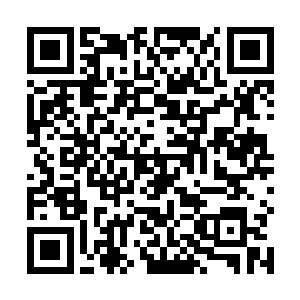 魏丹师之前在圣火窟内收取丹火的时候遇到了一些意外二维码生成