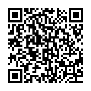 魏国公父子竟对着秦林这么一个已革职的锦衣卫副千户如此谦恭二维码生成