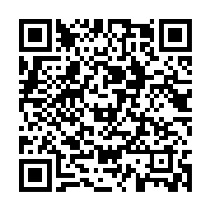 魏婷和王小雅竟然同时将目光投向了台下的赵长枪二维码生成