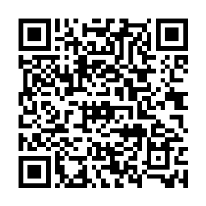 魏婷曾经亲自找到过毒龙会在夹河市的负责人博士二维码生成