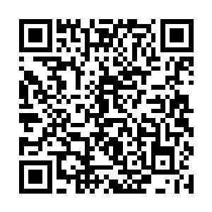 魏扬立即引路和唐玥凌风一起去了新关押药人的地方二维码生成