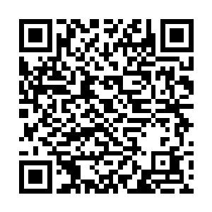 魏辰从来没想过会被一个小年轻这么连着煽两个巴掌二维码生成