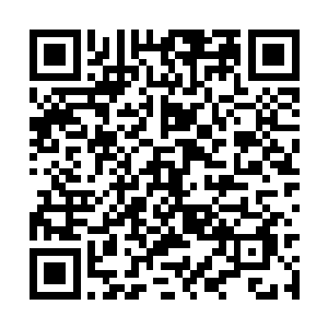 魏辰心底不禁油然涌起一股顾盼生辉的得意自豪感二维码生成