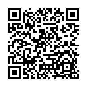 魔主和妖主的心里对于许紫烟已经有了敬服之心二维码生成