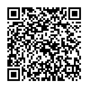 魔主宫少宫主和妖主宫少宫主虽然只有人尊期巅峰和人尊中期的修为二维码生成