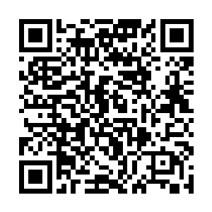 魔化巫师军团几乎没受到什么折损就通过了尖叫山脉二维码生成