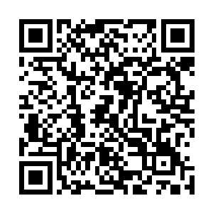 魔化归元法是不能常常使用才对吧要不然之前岛主在的时候二维码生成