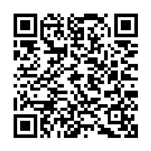 魔头和剩下的魔主也同样面临被屠杀的命运――他们悲哀的发现二维码生成