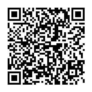 魔宫上上下下的人基本上都已经很久很久没见到过夭华与乌云本人了二维码生成