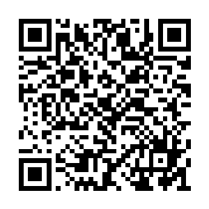 魔宫中人在林子中的时候都已经被派去找乌云了二维码生成