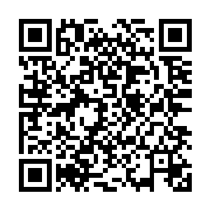 魔形术士的野兽形态并非只有安祖拉人熊这么一个生物二维码生成