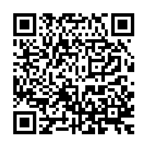 魔形术士这个职业居然默认给自己提供了一个额外的领域――二维码生成