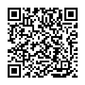 魔族中也不是所有的魔头魔主都参与了对唐劫的围攻二维码生成