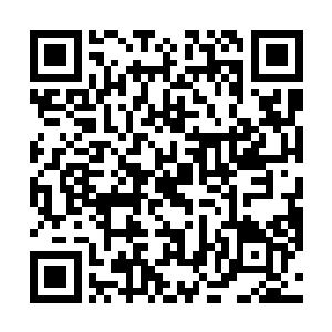 魔族头子显然没想到有人族会跑到寂灭之森附近来撒野二维码生成