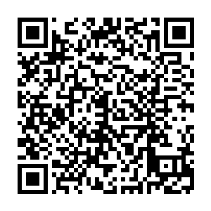 魔族改变翼魔的战术必然会造成整个塞尔内斯战区北方前线空中防御的空虚二维码生成