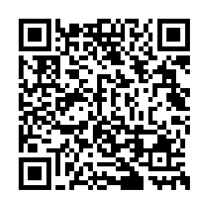 魔族的确可以从其他方向绕道进入人族繁华之地二维码生成