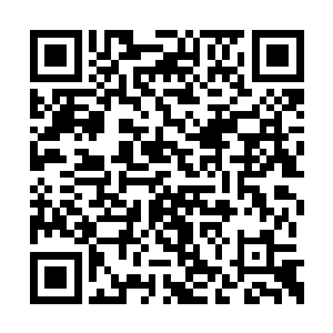魔族的隐匿和速度以及控制都能够得到全面提升二维码生成