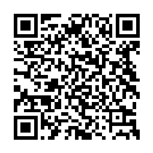 魔族试炼场自然是抓了很多人族修士和妖族修士二维码生成