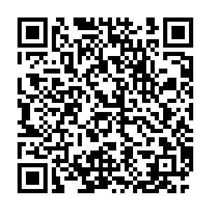 魔族骑士又怎么可能让她像兔子一样的溜到迷宫一样的洞穴之中呢二维码生成