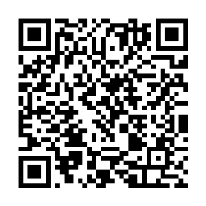 魔无极这妖异的长相绝对比杨戬更加的能够吸引目光二维码生成