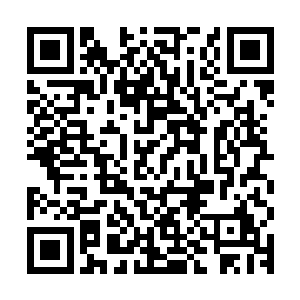 魔月菁的手掌化成一把锋利的刀对着纳甲土尸的脖子狠狠地劈下二维码生成