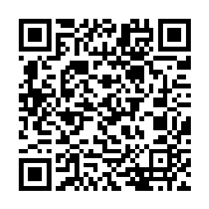 魔武学院的参赛者们快速的向神恩学院的参赛者追去二维码生成