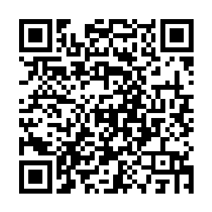 魔界人吃生肉其实就是为了补充肉里面的守尸鬼的魔气二维码生成