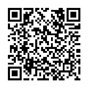 魔界的五位魔天都已经被自己关在六道轮回境中了二维码生成