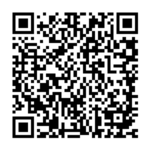 魔药之王艾瑞克就是当初故意散发出诱人气息吸引星界怪物的那株魔药二维码生成