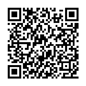 魔都文报娱乐板块采访的明星也已经越来越大牌二维码生成