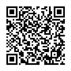 魔鼠之王在最后关头终于找到机会为自己报了仇了……二维码生成