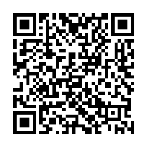 鱼类可以吃那些因为水质富营养而大量滋生的水生浮游物二维码生成