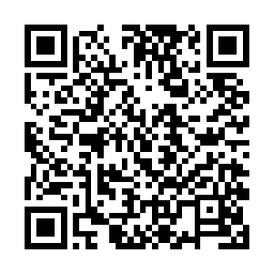 鱼缸里原本懒散游动着的金鱼竟然开始聚集到了一起二维码生成