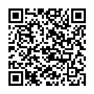 鲁新萍听了有点儿不满意自家老头子说的话了接口说道二维码生成