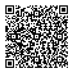 鲁新萍这边等着囡囡一吐立刻就放下了手中筷子伸手开始安抚起了孙女来一边忙活着一边还道二维码生成
