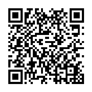 鲁明举看到方便铲的另一头竟然被凌云抓在了手里二维码生成