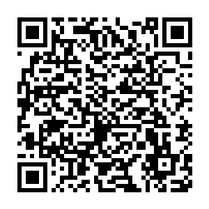 鲁红梅远远地就看到张均带着一个漂亮可爱到极致的小男孩走过来二维码生成