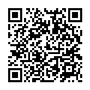 鲁肃一定会将他认作是不知天高地厚的无知之徒二维码生成