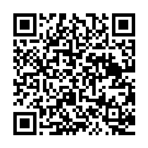 鲁通先口中的叶局长自然是江州市市委常委兼公安局局长叶洪波二维码生成