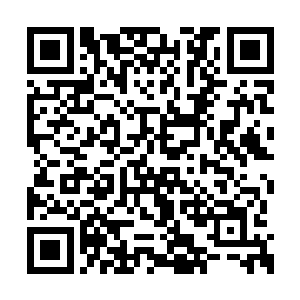 鲁郎中甚至飞快地跑去找盛国公夫人和冯氏报信二维码生成