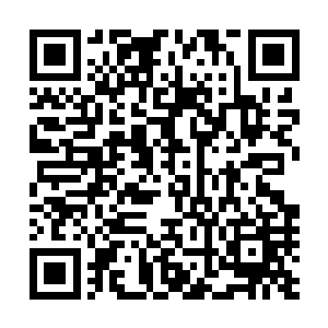 鲍勃巴克号虽然在撞击捕鲸船之后被迫终止了反捕鲸的行动二维码生成