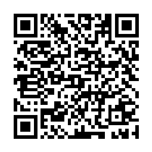 鲍大少爷的妻子陈氏和庶妹鲍三姑娘早在里间等候多时二维码生成